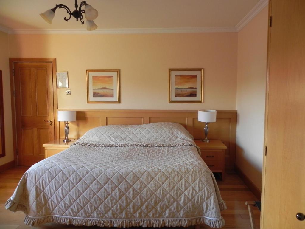 Hotel Shelmalier House à Athlone Chambre photo